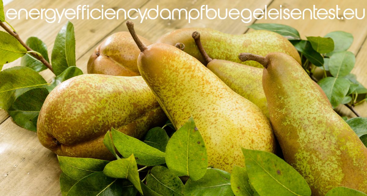 energyefficiency.dampfbuegeleisentest.eu